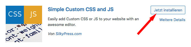 Simple Custom CSS and JS installieren