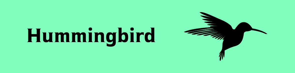 Hummingbird für WordPress: Mehr Geschwindigkeit für Deine Webseite